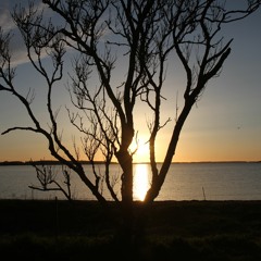 Sets 7 Ready 25.04.19