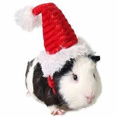 Jingle Bells 2019 Hard One With A Hammy