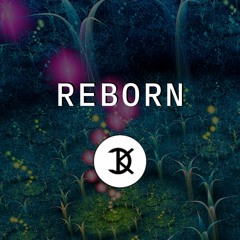 Reborn (Original Mix)