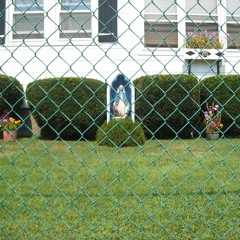 summer in the tri state area