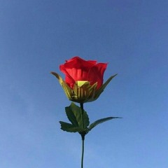 lovey junk(inst. demo)