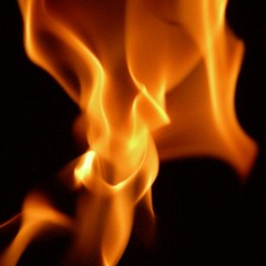 FIRE RADIKAL VIBRATION ROOTS YOUTHS RECORDS.wav