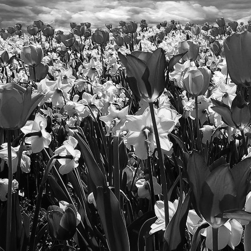 Hannes Wiehager - Melodic House & Techno - Late Spring Mix