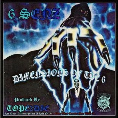 6 SENZ - Function [Prod. TOPE2DIE]