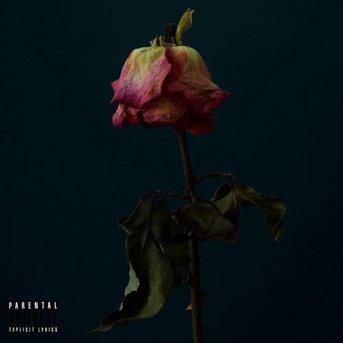 Just Anyone (feat. 916frosty)