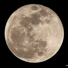 LET'S GET DOWN AND TALK...