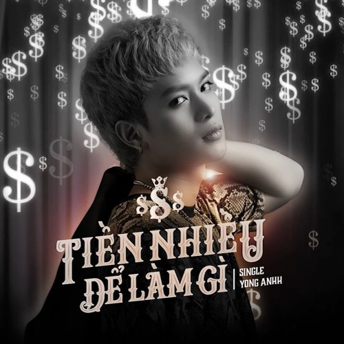 TIỀN NHIỀU ĐỂ LÀM GÌ | Yong Anh AUDIO