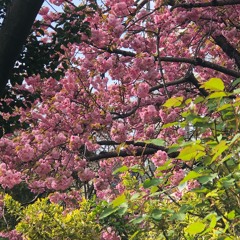 Fool That I Am (feat. Jonah Goldstein)