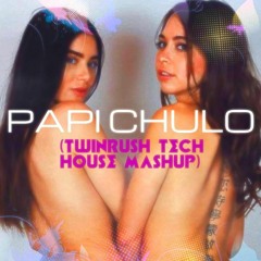 PAPI CHULO (Twinrush Private Mashup)