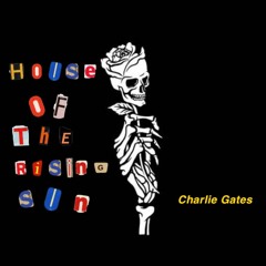 House Of The Rising Sun (Cover)