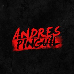 (Pioneer ddj sz limited) SET VARIADO UP - ANDRES PINGUIL DJ MIX