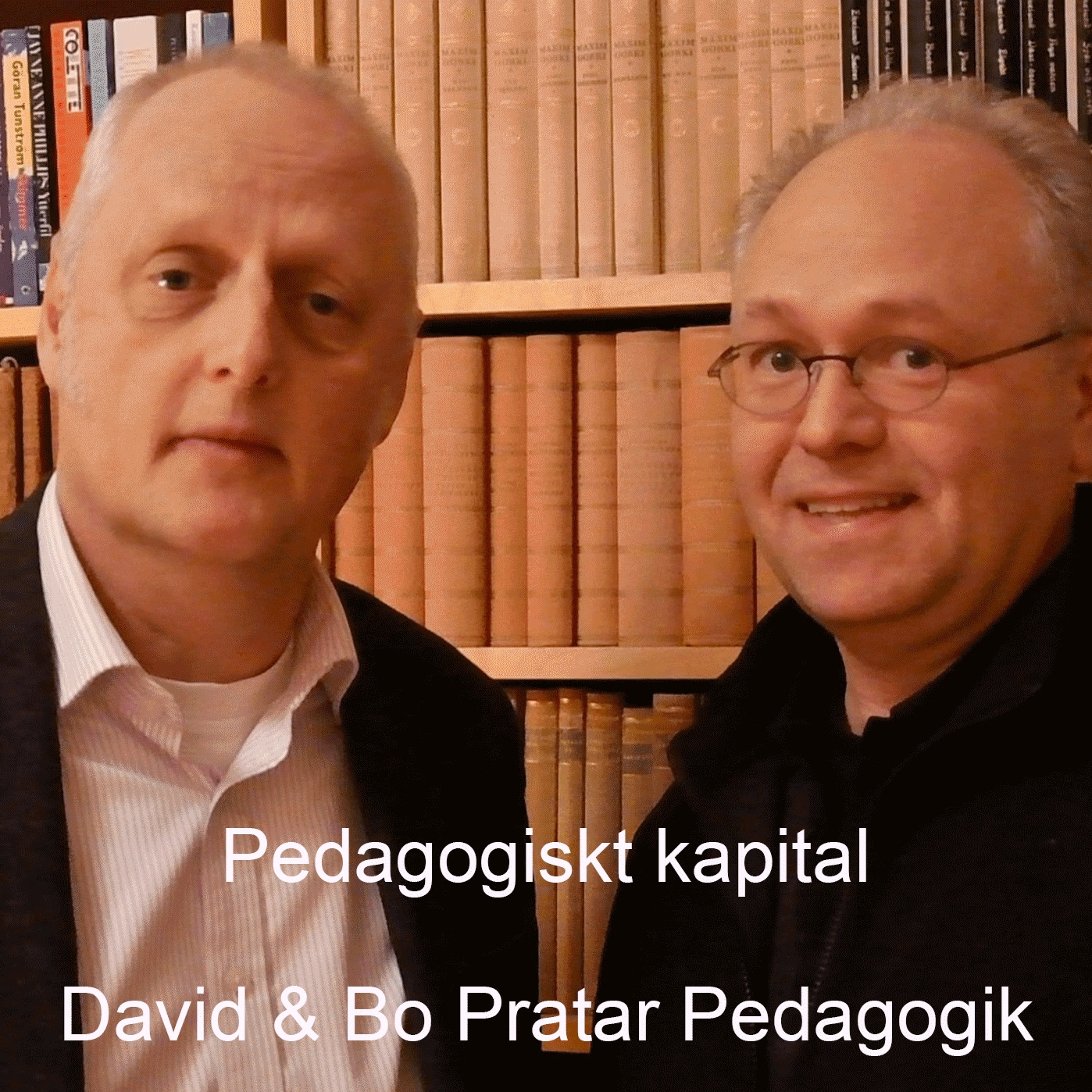 David & Bo Pratar Pedagogik