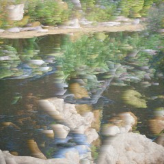 U.I.V.T.D Guest - w/ Shift Tides - 230419