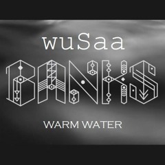 Warm Water - Banks (wuSaa remix)