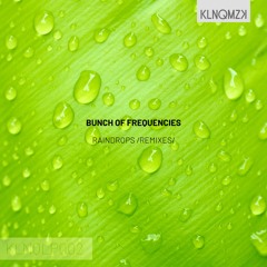 Bunch Of Frequencies - Raindrops (Original Remaster) (preview)