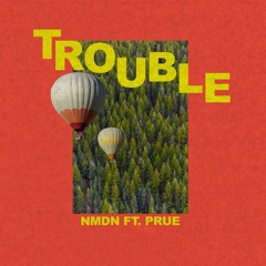 NMDN & Prue. - Trouble