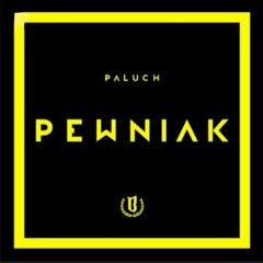 1|Paluch-Pewniak (official audio)