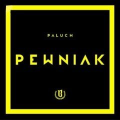 2|Paluch-na ulicach (official audio)