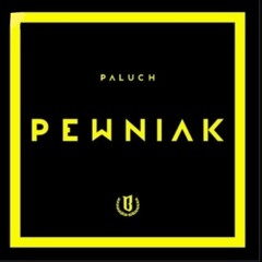 3|Paluch-do ziomka (official audio)