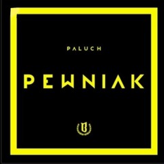 4|Paluch-ile jesteś wart ft. onar (official audio)
