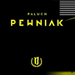 Paluch - "Wypite ft. Sheller, Waber"