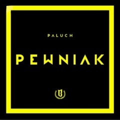 9|Paluch-wypite ft. sheller wader (official audio)