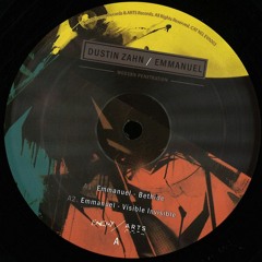 AA2 - Emmanuel - Visible Invisible