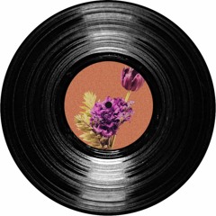 The Roots - Radio Daze (TOMO EDIT) with DJ Soultiment