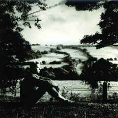 Normil Hawaiians - 'Big Lies'