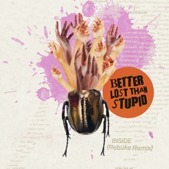 Better Lost Than Stupid - Inside Rebuke Warehouse Mix