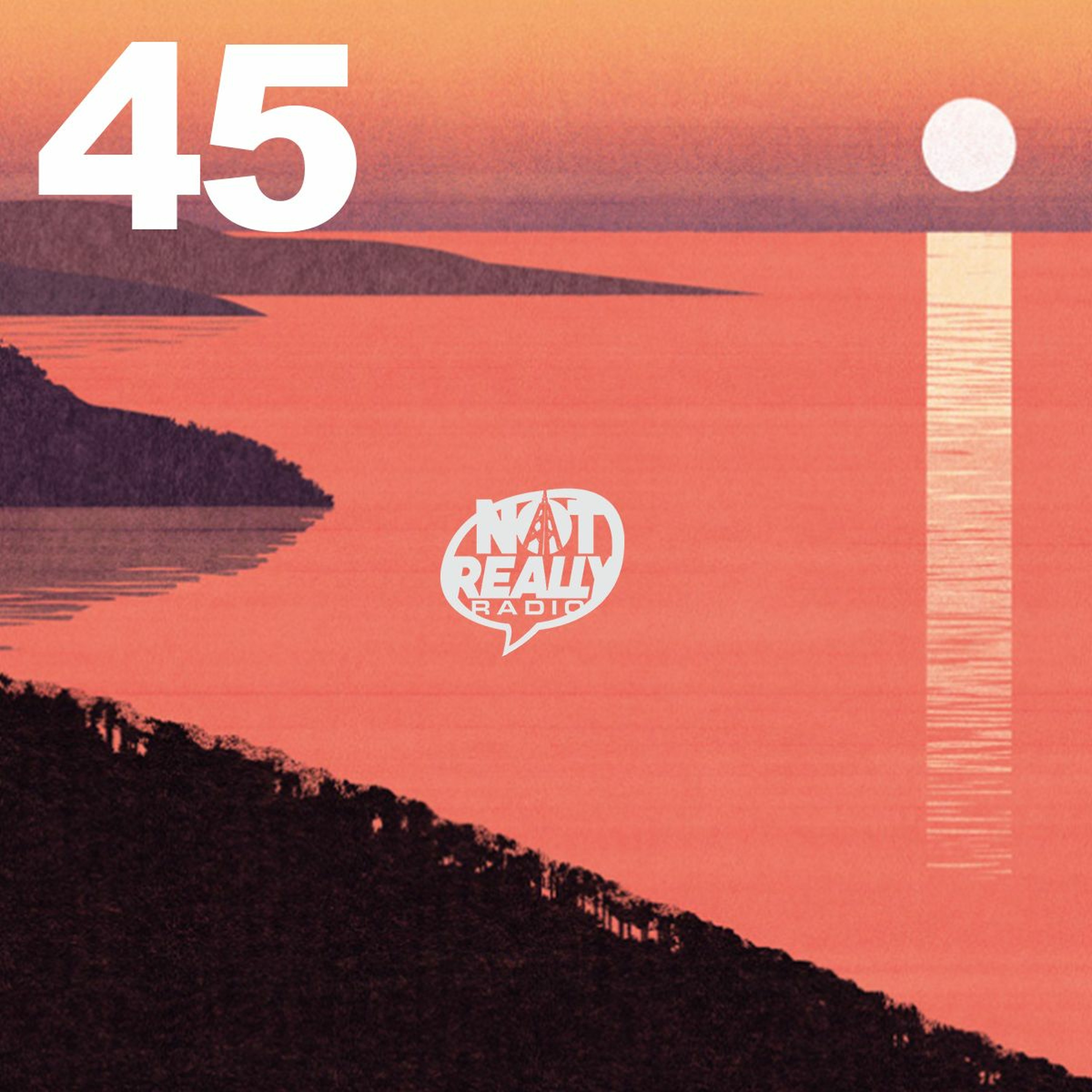 Not Really Radio Episode 45 episode artwork