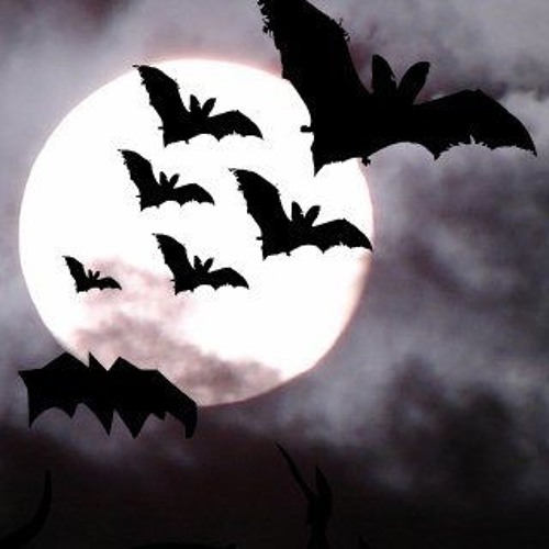 M.I.S [prod. theory]