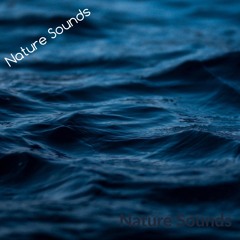 Sea Sounds