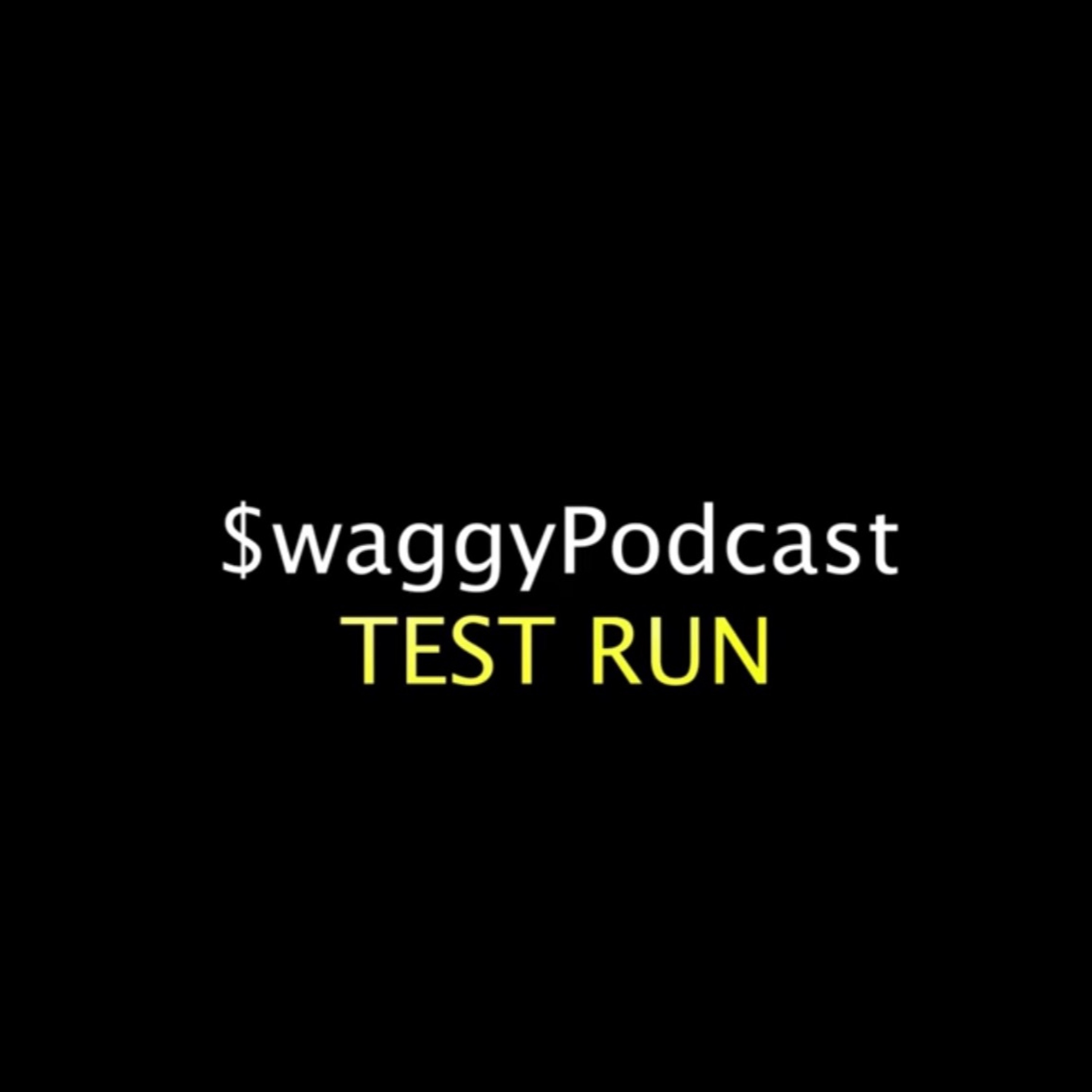 TEST RUN EPISODE episode artwork