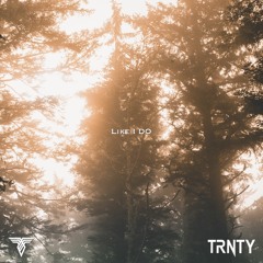 David Guetta, Martin Garrix & Brooks - Like I Do (TRNTY Remix)