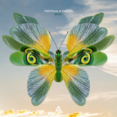 Tritonal & Evalyn - Real
