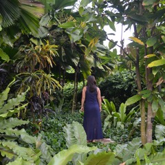 Zhongyuanjie (english version)