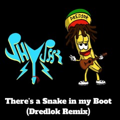There's a Snake in my Boot (Dredlok Remix)