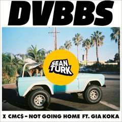 Not Going Home (Sean Turk Remix)