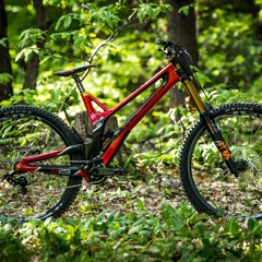 John Hall  - Gwin's Intense