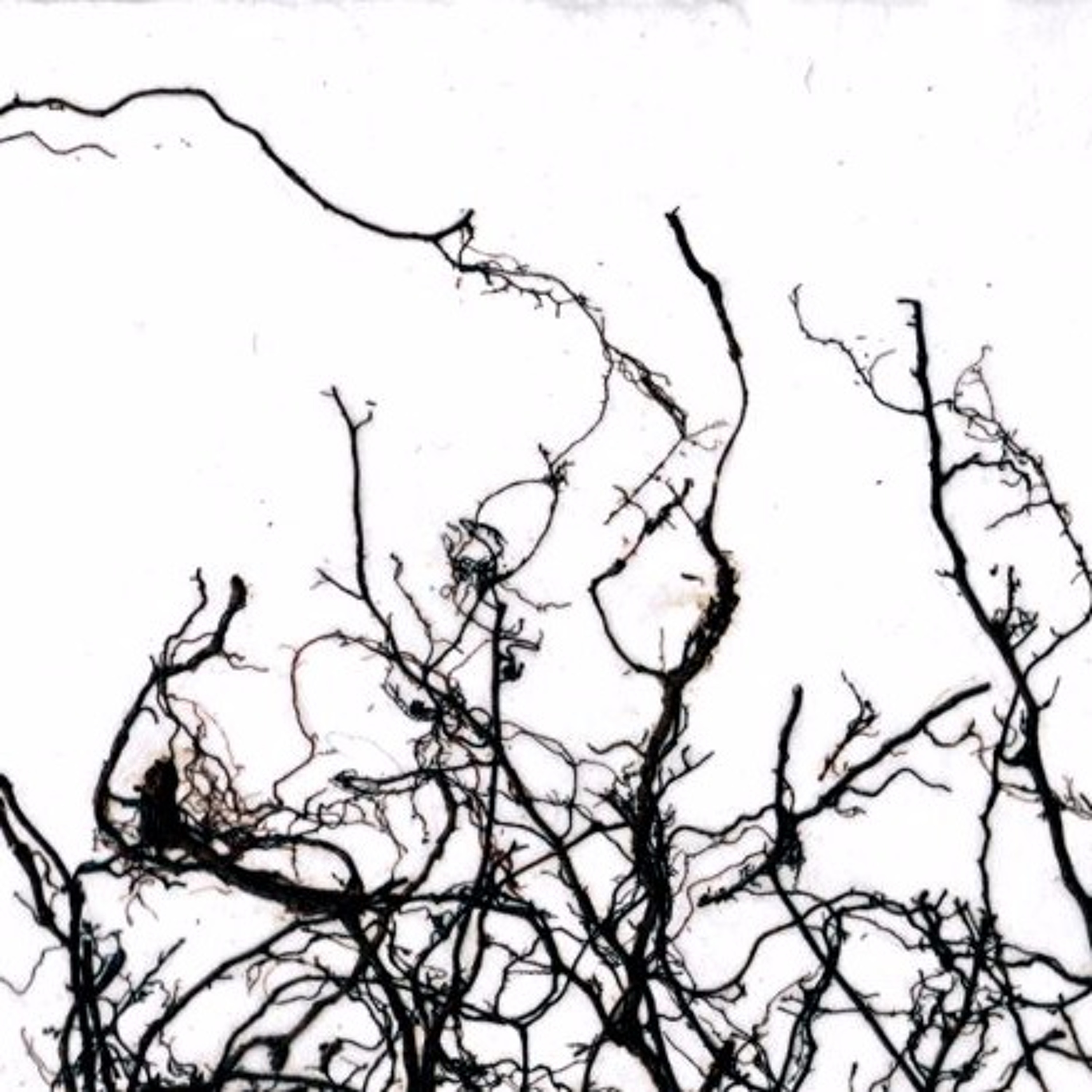 B.elle.musicArt N°37 episode artwork