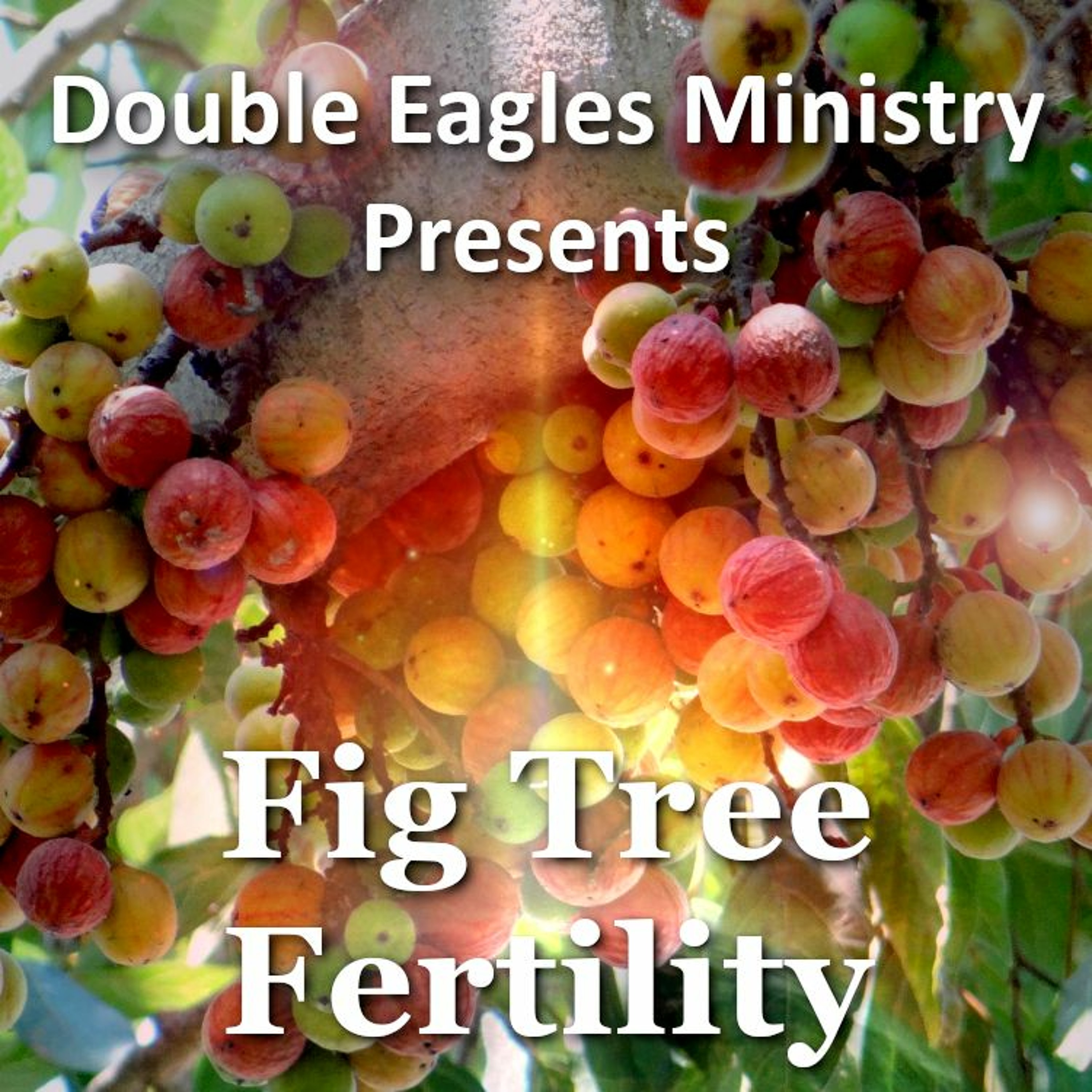 Fig Tree Fertility episode artwork