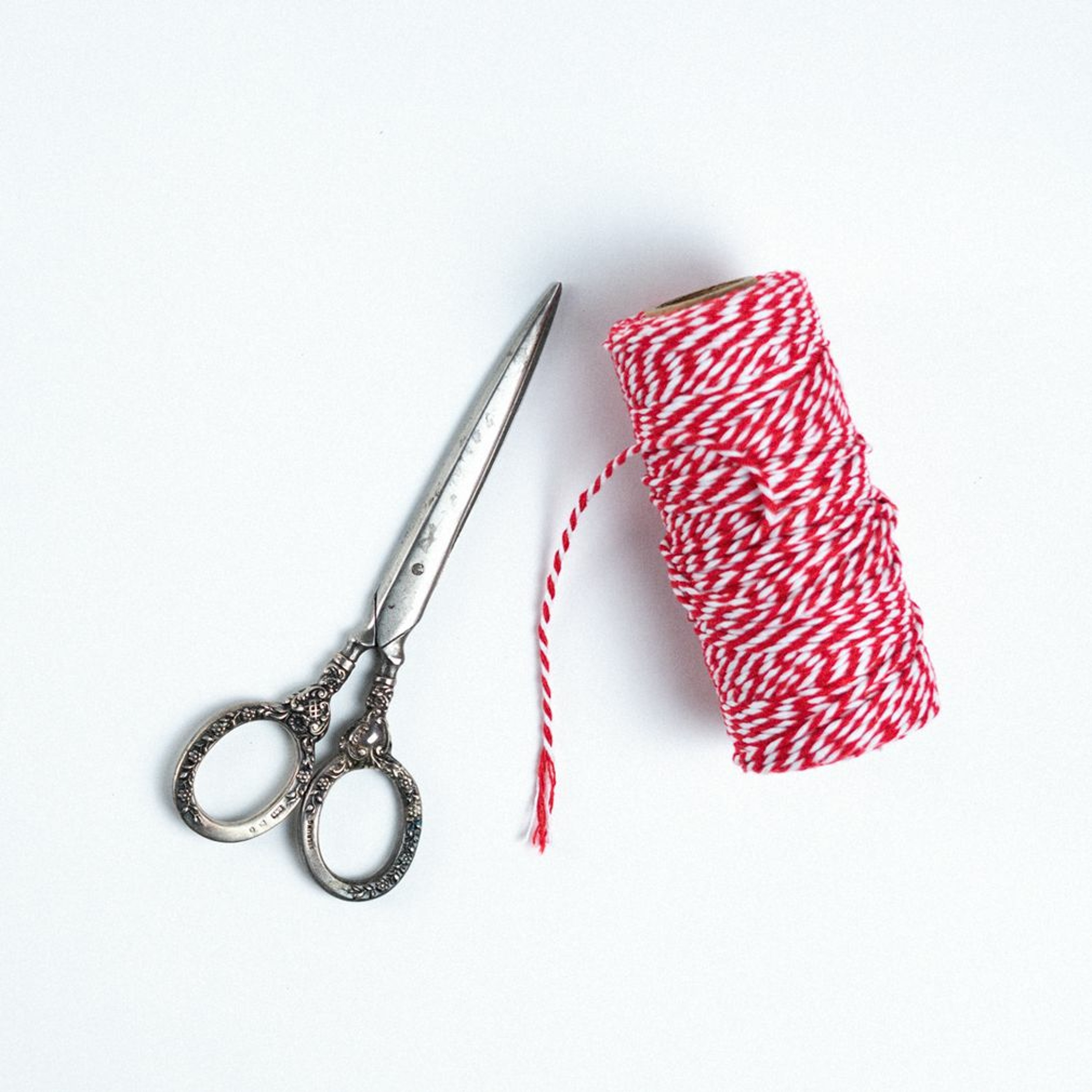 The Bird I Held in My Hand