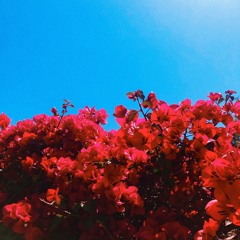 some thoughts about being quiet & by myself