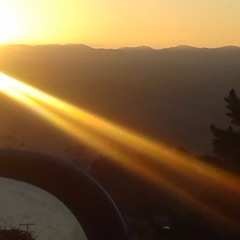 Autumn Arena 2019 - Sample Set