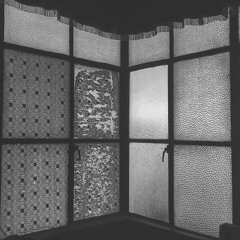 John Frusciante - The Will To Death (Cover)