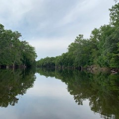 Goin' Down To The River - By Ellen Bukstel