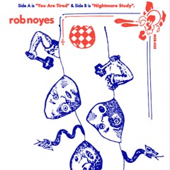 MSR-025 - Rob Noyes - You Are Tired