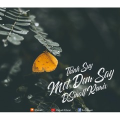 Thịnh Suy - Một Đêm Say (DSmall Remix)