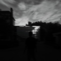 Apka _ Cryptic´s Selection 022